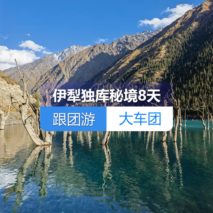 【新疆跟团游·大车团·伊犁独库秘境纯玩8天】肯斯瓦特水库、独山子大峡谷、赛里木湖、薰衣草庄园、那拉提大草原、喀赞其city walk、孟克特古道、新疆古生态园、唐布拉百里画廊 天山天池、飞览天下·新疆会客厅、国际大巴扎8日游（乌市起止）产品编号：11415